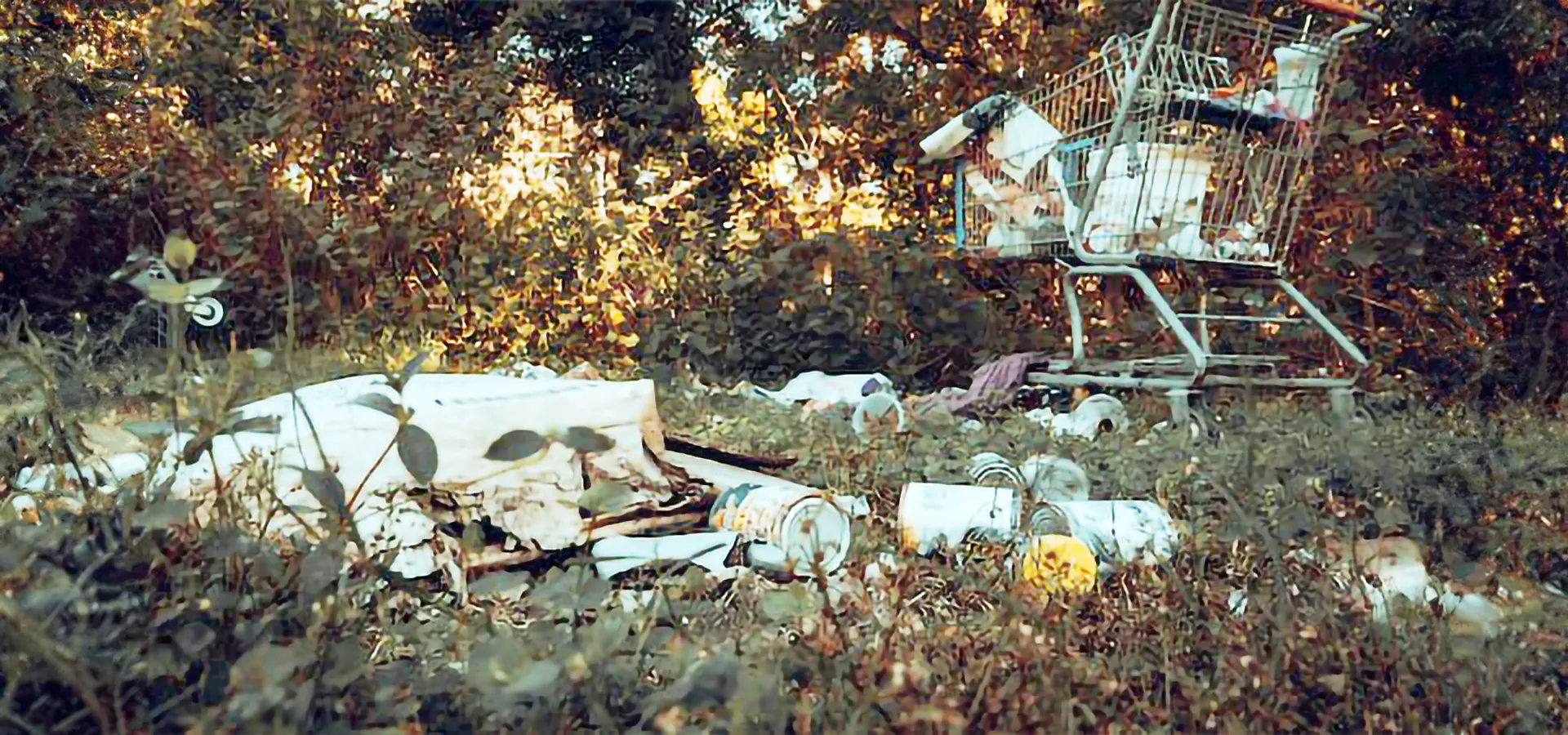 Einkaufswagen und Müll im Wald